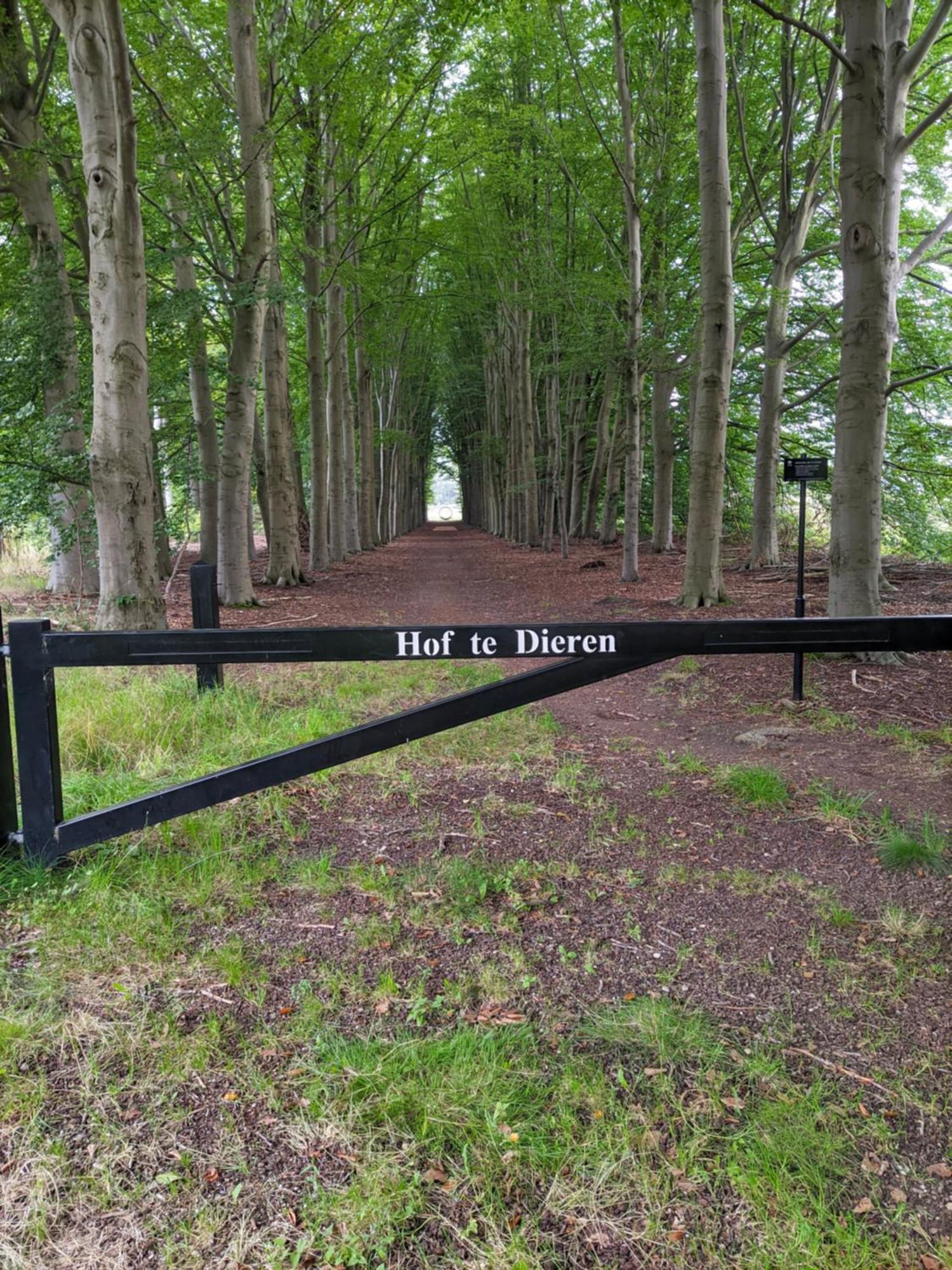 Villa Benvenuto Dieren Kültér fotó
